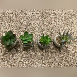 Fake succulent plants